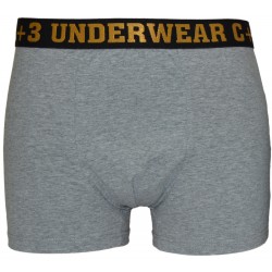 Bokserki VBE-400 C+3 UNDERWEAR SZARE
