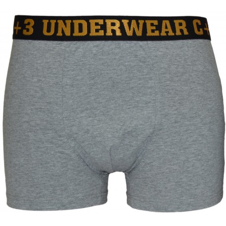 Bokserki VBE-400 C+3 UNDERWEAR SZARE