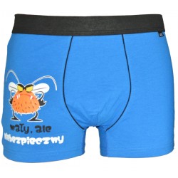 Bokserki C+3 MAŁY ALE NIEBEZPIECZNY NIEBIESKI r L