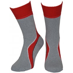 THERMO-SILVER Milena SKARPETY FROTTE AG+ 38-40 T19