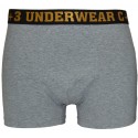 Bokserki VBE-400 C+3 UNDERWEAR SZARE
