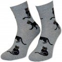 Skarpety damskie Koteczki szare r. 37-41