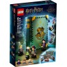 LEGO Harry Potter 76383 – Chwile z Hogwartu Zajęcia z Eliksirów