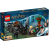 LEGO Harry Potter 76400 Testrale i kareta Hogwart