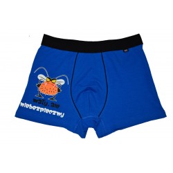 Bokserki C+3 MAŁY ALE NIEBEZPIECZNY NIEBIESKI r XL